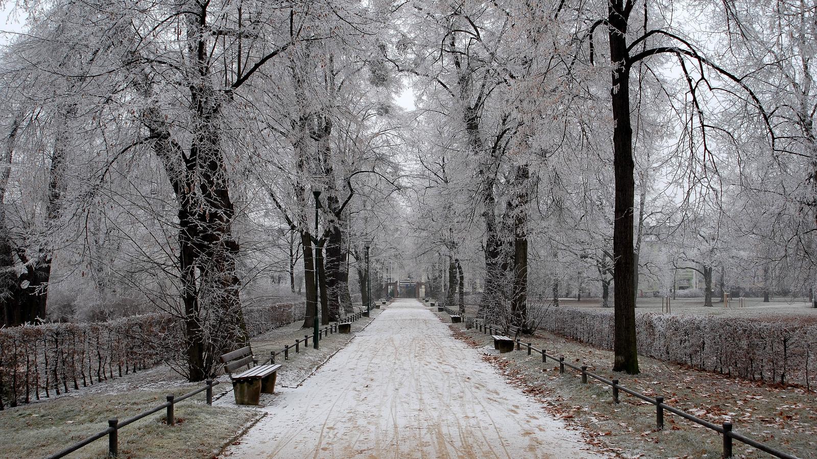 Winter in Darmstadt