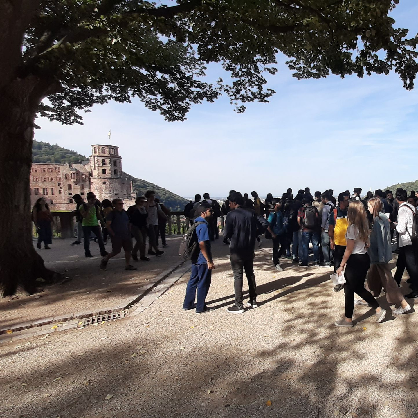 Our students at Heidelberg Castle
